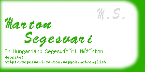 marton segesvari business card